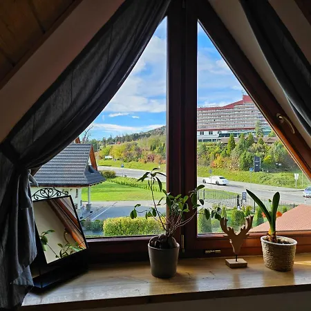 Séjour chez l'habitant Panorama Szymaszkowa Zakopane